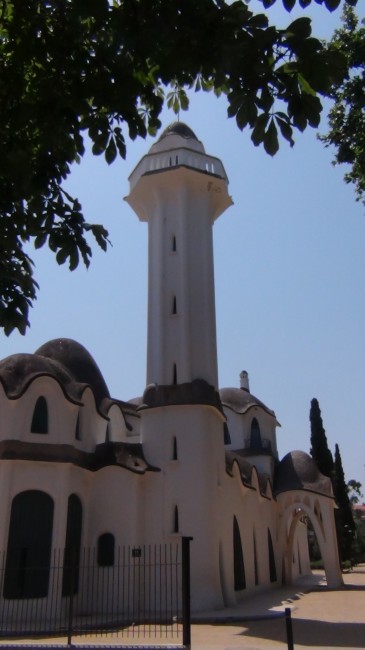 Rosa Mª Masana i Ribas