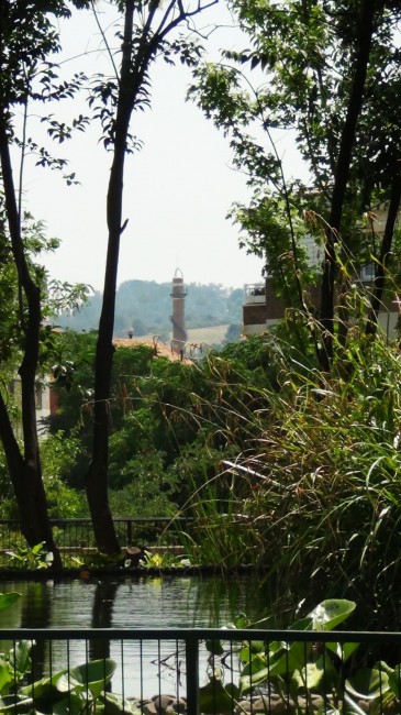 Rosa Mª Masana i Ribas