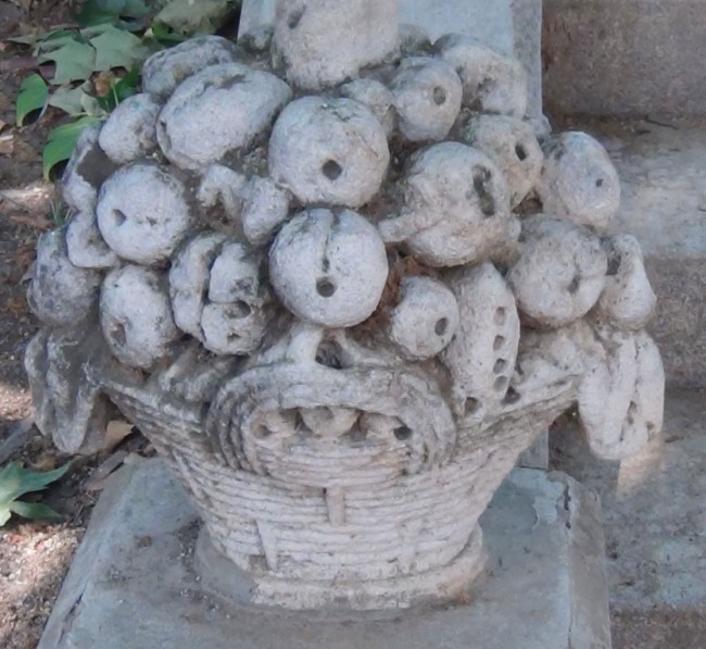 Rosa Mª Masana i Ribas