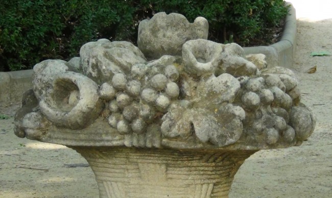 Rosa Mª Masana i Ribas