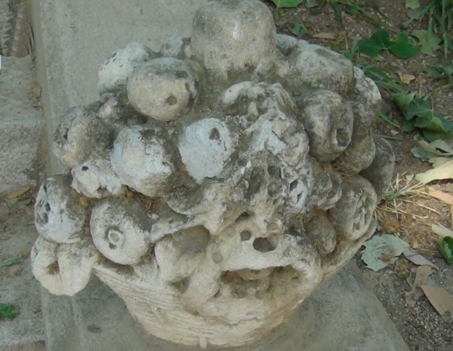 Rosa Mª Masana i Ribas