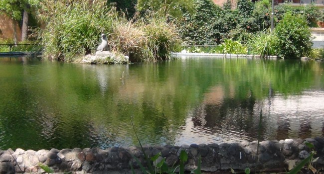 Rosa Mª Masana i Ribas