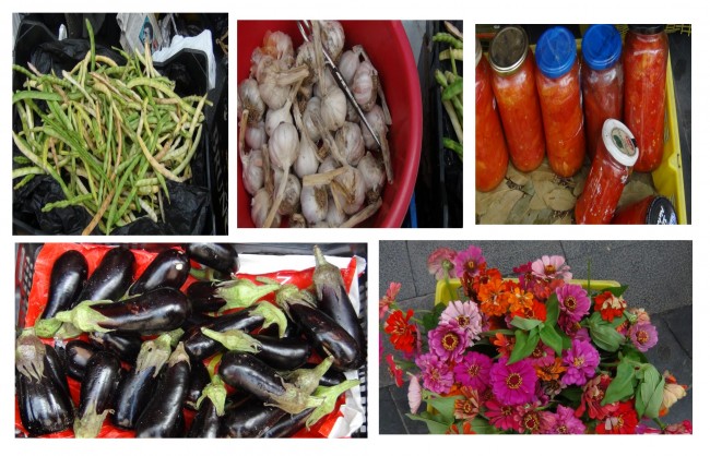 Rosa Mª Masana i Ribas