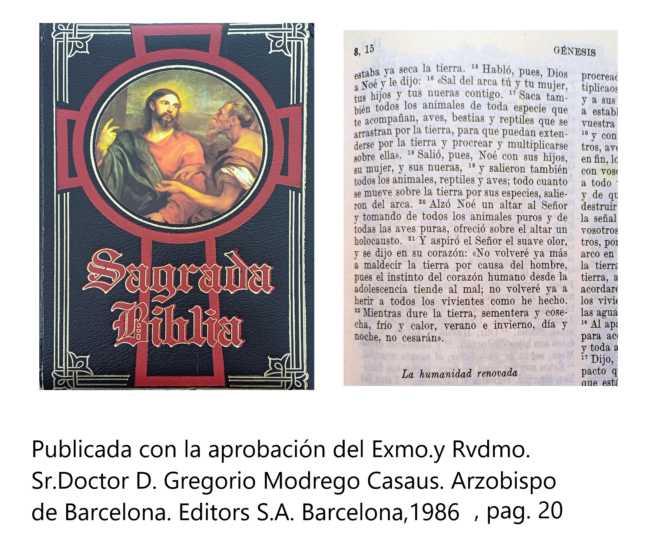 Rosa Mª Masana i Ribas