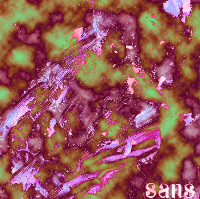 Rosa Mª Masana i Ribas