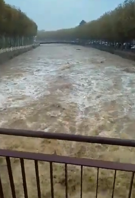 Rosa Mª Masana i Ribas