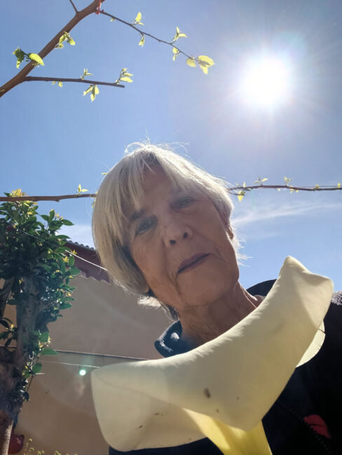 Rosa Mª Masana i Ribas